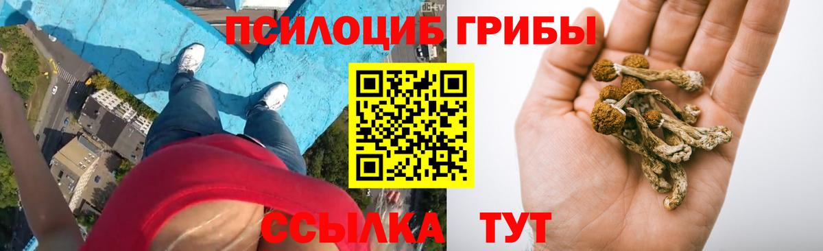 Мефедрон  Зеленодольск  МАРИХУАНА  Вход с VPN  MDMA  Меф МЯУ МЯУ   ГАШ  Гашиш 